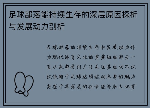 足球部落能持续生存的深层原因探析与发展动力剖析